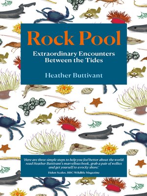 cover image of Rock Pool